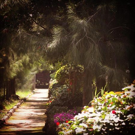 فندق Lillypond Camp Elmenteita المظهر الخارجي الصورة