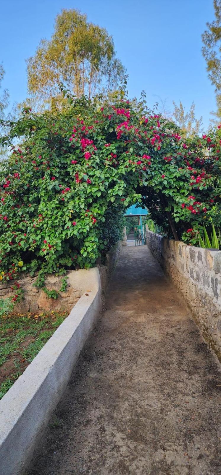 فندق Lillypond Camp Elmenteita المظهر الخارجي الصورة